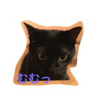 黒猫クロエだよ！ パート2（個別スタンプ：7）
