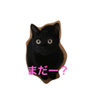黒猫クロエだよ！ パート2（個別スタンプ：8）