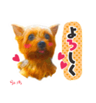 ヨークシャーテリア らいちちゃん（個別スタンプ：9）