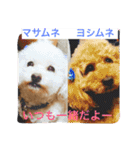 トイプードルよしむねとまさむねの気持ち（個別スタンプ：1）