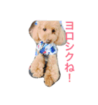 トイプードルよしむねとまさむねの気持ち（個別スタンプ：28）