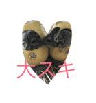 chinchiraanimal rabbite（個別スタンプ：14）