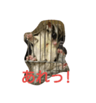 モモンガ もこ（個別スタンプ：8）