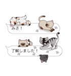 【みさ】猫だらけの吹き出し（個別スタンプ：17）