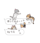 【りえ】猫だらけの吹き出し（個別スタンプ：15）