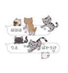 【りえ】猫だらけの吹き出し（個別スタンプ：38）