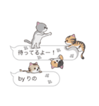 【りの】猫だらけの吹き出し（個別スタンプ：15）