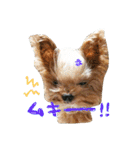 モジャワンスタンプ（個別スタンプ：6）