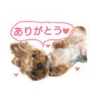 モジャワンスタンプ（個別スタンプ：7）