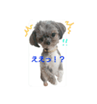 モジャワンスタンプ（個別スタンプ：19）