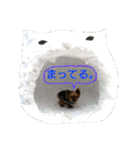 モジャワンスタンプ（個別スタンプ：38）