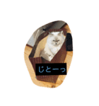 もんちゃん！（個別スタンプ：6）