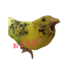 kiiiichan（個別スタンプ：7）