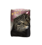キジトラ猫いったん（個別スタンプ：2）