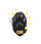 キジトラ猫いったん（個別スタンプ：8）