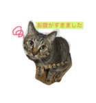 キジトラ猫いったん（個別スタンプ：21）