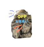 キジトラ猫いったん（個別スタンプ：34）