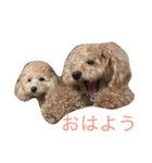 くらぽむ1（個別スタンプ：6）