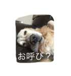 _ACE_（個別スタンプ：6）