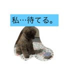 ゴリラじゃないよドゴだよ（個別スタンプ：1）