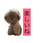 ゴリラじゃないよドゴだよ（個別スタンプ：2）