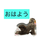 ゴリラじゃないよドゴだよ（個別スタンプ：3）