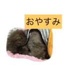 ゴリラじゃないよドゴだよ（個別スタンプ：4）