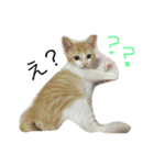 よくつかうかも。（個別スタンプ：6）