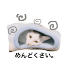 よくつかうかも。（個別スタンプ：7）