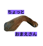 我が家のニャンとワン（個別スタンプ：18）
