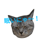 ネイトの日常1（個別スタンプ：1）