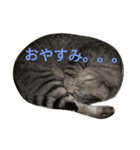 ネイトの日常1（個別スタンプ：4）