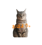 ネイトの日常1（個別スタンプ：9）