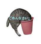ネイトの日常1（個別スタンプ：11）