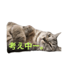ネイトの日常1（個別スタンプ：12）