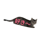ネイトの日常1（個別スタンプ：14）