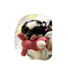 ちゅんちゃんだチューンその2＆family（個別スタンプ：4）
