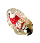 ちゅんちゃんだチューンその2＆family（個別スタンプ：19）