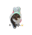 ふわもふうさねこ（個別スタンプ：2）
