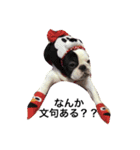 SORA日和（個別スタンプ：11）