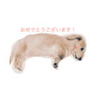 アイルちゃん！（個別スタンプ：4）