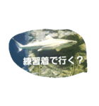 海の動物スタンプdesu（個別スタンプ：11）