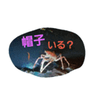 海の動物スタンプdesu（個別スタンプ：12）