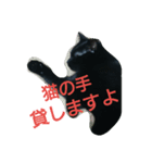 黒にゃん と うさぎさん（個別スタンプ：2）