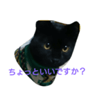 黒にゃん と うさぎさん（個別スタンプ：5）