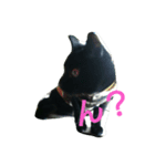 黒にゃん と うさぎさん（個別スタンプ：7）