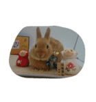 rabbit happy stamp（個別スタンプ：4）