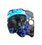 おはぎ猫はてな（個別スタンプ：5）