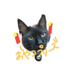 おはぎ猫はてな（個別スタンプ：10）
