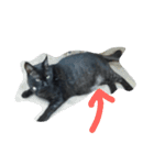 おはぎ猫はてな（個別スタンプ：14）